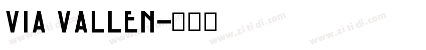VIA VALLEN字体转换